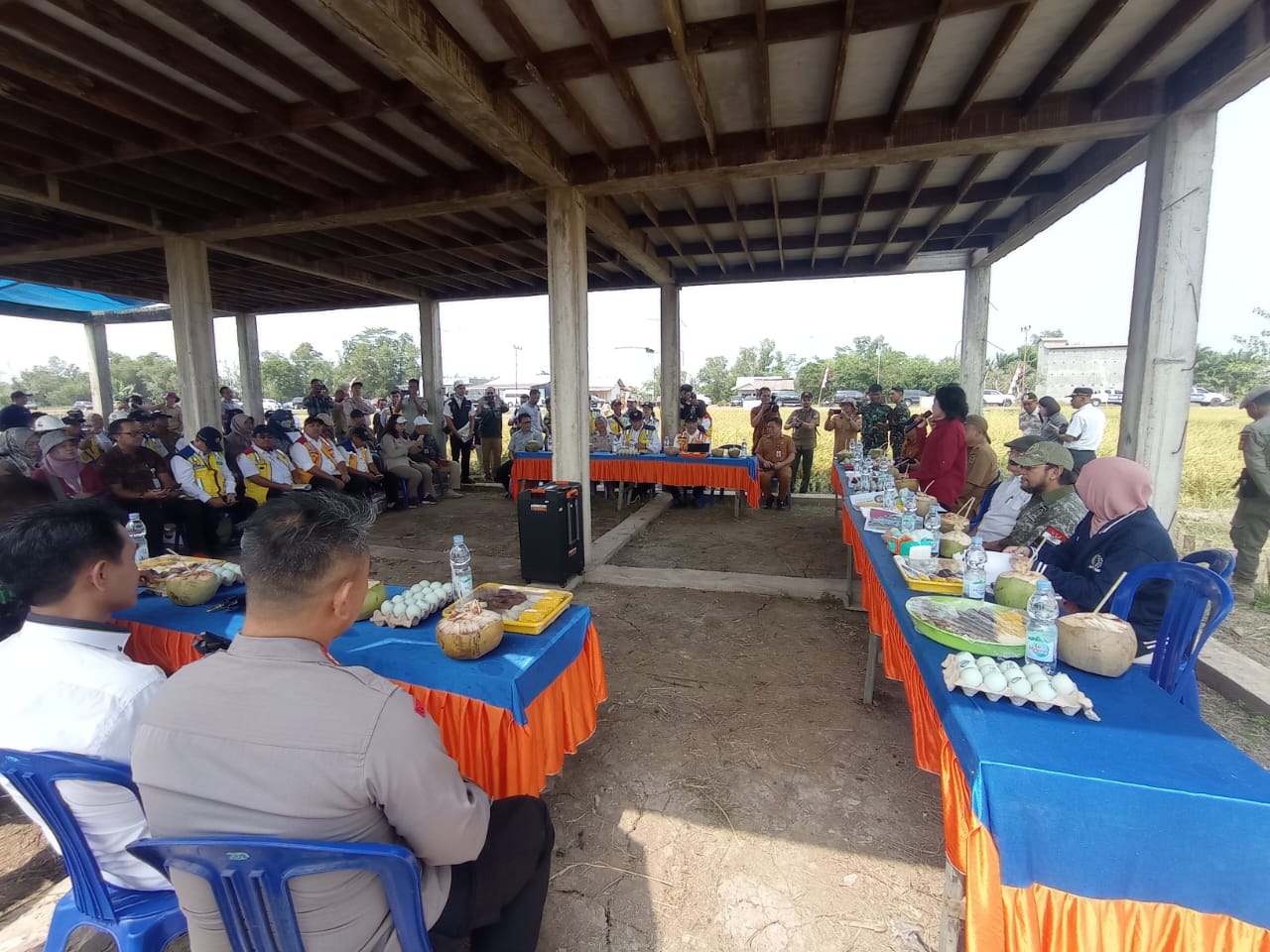 WhatsApp Image 2023 09 04 at 11.31.15